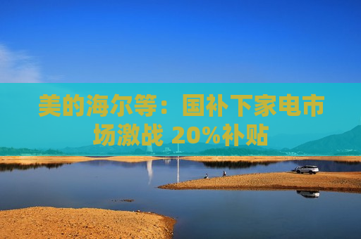 美的海尔等：国补下家电市场激战 20%补贴