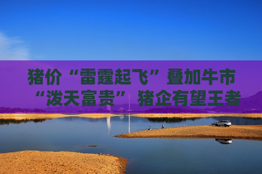 猪价“雷霆起飞”叠加牛市“泼天富贵” 猪企有望王者再临  第1张