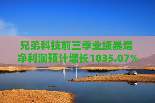 兄弟科技前三季业绩暴增 净利润预计增长1035.07%~1375.60%