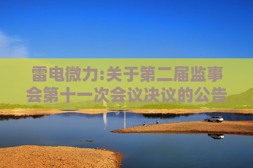雷电微力:关于第二届监事会第十一次会议决议的公告
