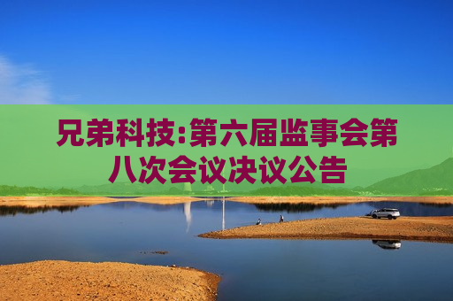 兄弟科技:第六届监事会第八次会议决议公告