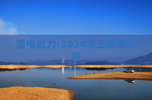 雷电微力:2024年三季度报告