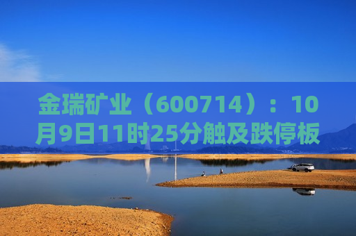 金瑞矿业（600714）：10月9日11时25分触及跌停板