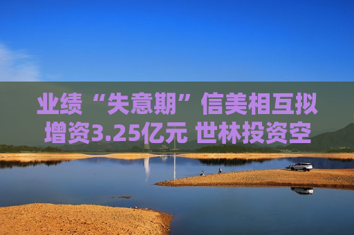 业绩“失意期”信美相互拟增资3.25亿元 世林投资空降为第二大出资人