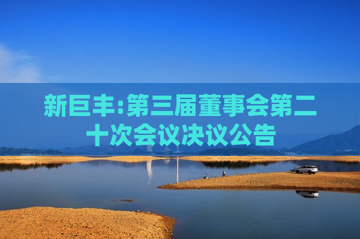 新巨丰:第三届董事会第二十次会议决议公告  第1张