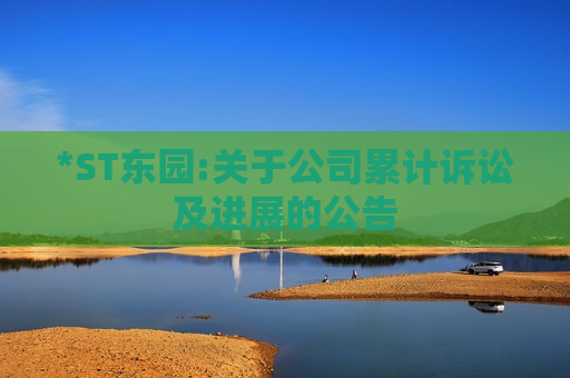 *ST东园:关于公司累计诉讼及进展的公告