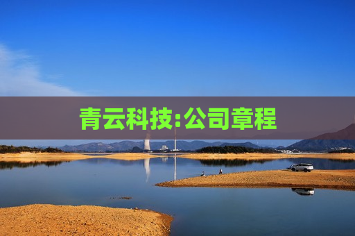 青云科技:公司章程