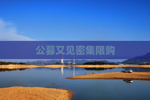 公募又见密集限购  第1张