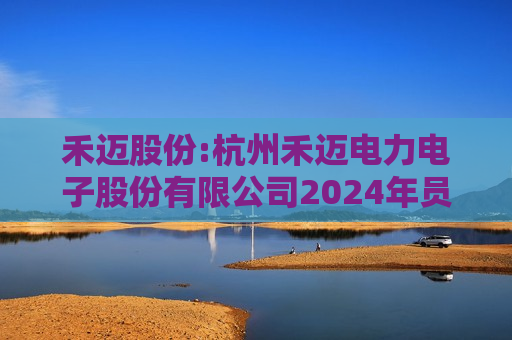 禾迈股份:杭州禾迈电力电子股份有限公司2024年员工持股计划（草案）摘要