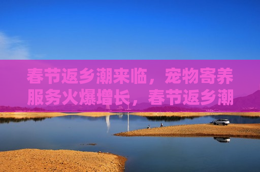 春节返乡潮来临，宠物寄养服务火爆增长，春节返乡潮带动宠物寄养服务火爆增长，春节返乡潮带动宠物寄养服务火爆增长  第1张