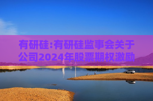 有研硅:有研硅监事会关于公司2024年股票期权激励计划首次授予激励对象名单的核查意见（截止授予日）