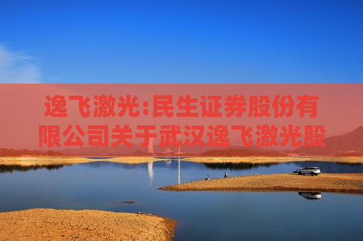 逸飞激光:民生证券股份有限公司关于武汉逸飞激光股份有限公司差异化权益分派特殊除权除息事项的核查意见