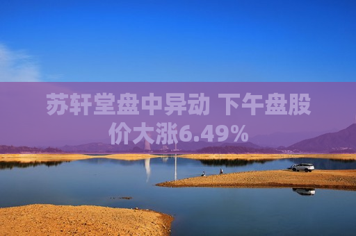 苏轩堂盘中异动 下午盘股价大涨6.49%