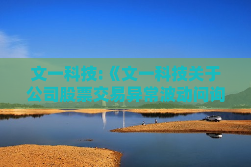 文一科技:《文一科技关于公司股票交易异常波动问询函》的回复（实控人）