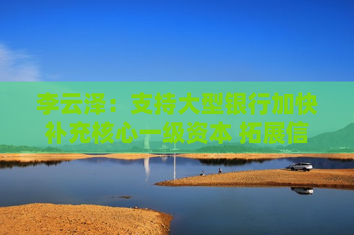 李云泽：支持大型银行加快补充核心一级资本 拓展信贷增长空间（附全文）