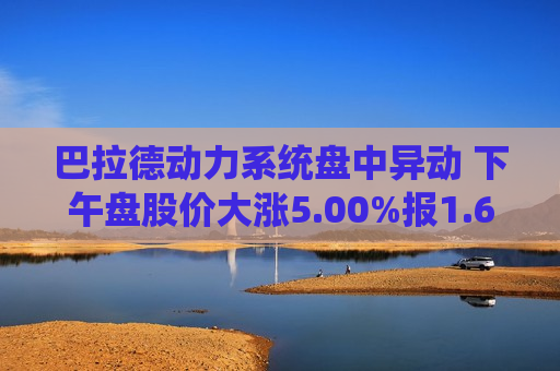 巴拉德动力系统盘中异动 下午盘股价大涨5.00%报1.68美元  第1张