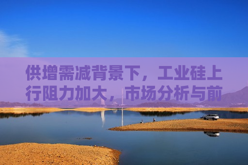 供增需减背景下，工业硅上行阻力加大，市场分析与前景展望，供增需减背景下工业硅市场阻力加大，分析与前景展望