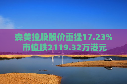 森美控股股价重挫17.23% 市值跌2119.32万港元