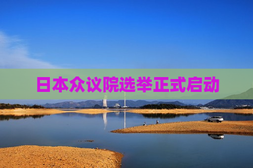 日本众议院选举正式启动