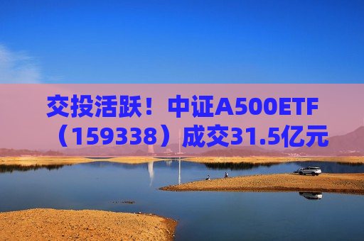 交投活跃！中证A500ETF（159338）成交31.5亿元
