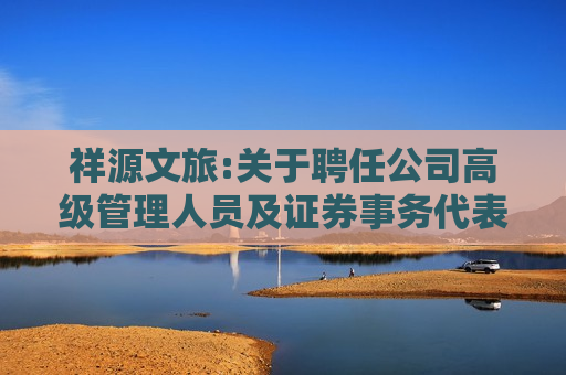 祥源文旅:关于聘任公司高级管理人员及证券事务代表的公告
