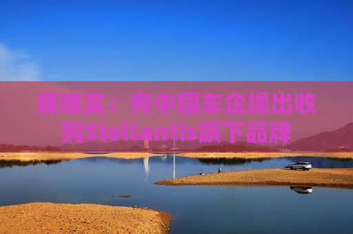 唐唯实：有中国车企提出收购Stellantis旗下品牌