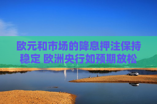 欧元和市场的降息押注保持稳定 欧洲央行如预期放松政策