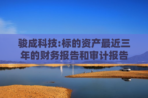 骏成科技:标的资产最近三年的财务报告和审计报告