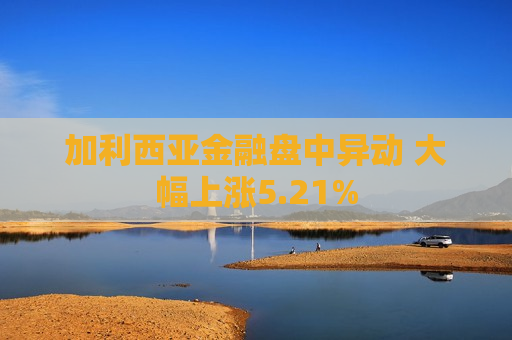 加利西亚金融盘中异动 大幅上涨5.21%