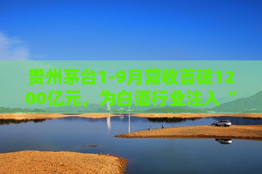 贵州茅台1-9月营收首破1200亿元，为白酒行业注入“强心剂”