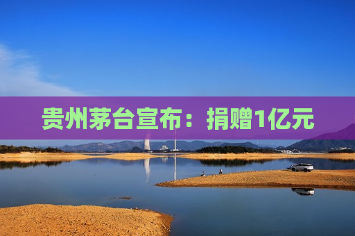 贵州茅台宣布：捐赠1亿元