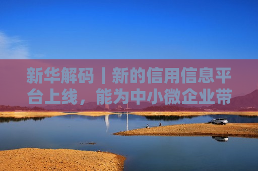 新华解码｜新的信用信息平台上线，能为中小微企业带来哪些好处？