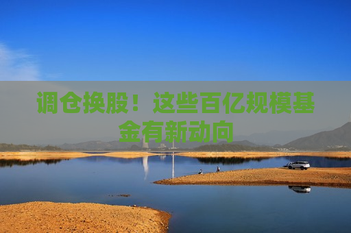 调仓换股！这些百亿规模基金有新动向