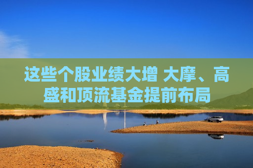 这些个股业绩大增 大摩、高盛和顶流基金提前布局