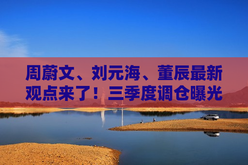 周蔚文、刘元海、董辰最新观点来了！三季度调仓曝光