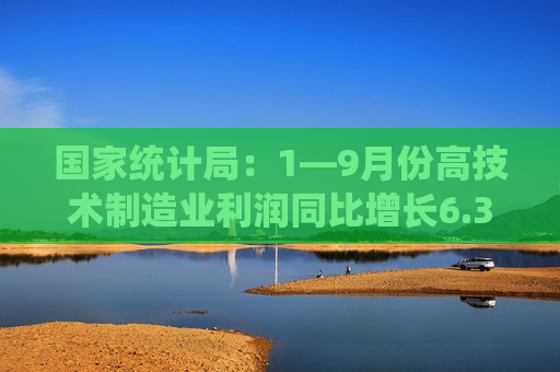 国家统计局：1—9月份高技术制造业利润同比增长6.3%