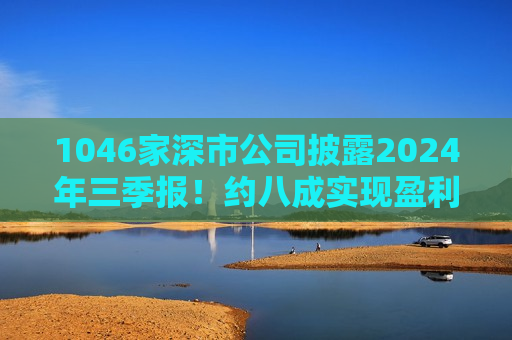 1046家深市公司披露2024年三季报！约八成实现盈利