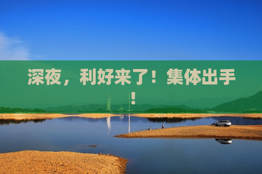 深夜，利好来了！集体出手！
