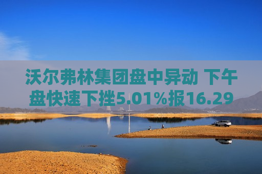 沃尔弗林集团盘中异动 下午盘快速下挫5.01%报16.29美元