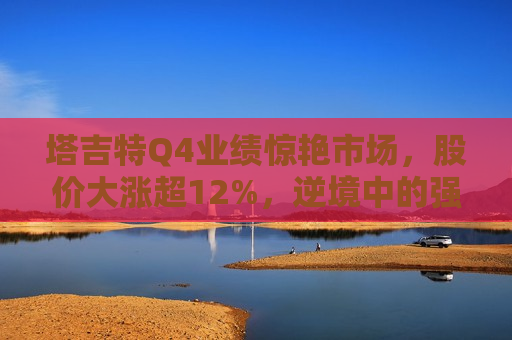 塔吉特Q4业绩惊艳市场，股价大涨超12%，逆境中的强劲反弹，塔吉特Q4业绩强势反弹，股价大涨超12%，塔吉特Q4业绩强势反弹，股价大涨超12%