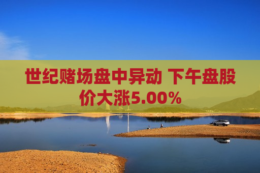 世纪赌场盘中异动 下午盘股价大涨5.00%