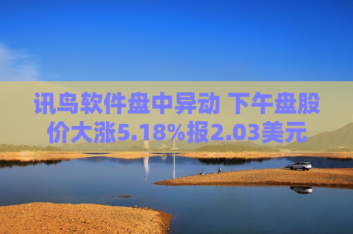 讯鸟软件盘中异动 下午盘股价大涨5.18%报2.03美元