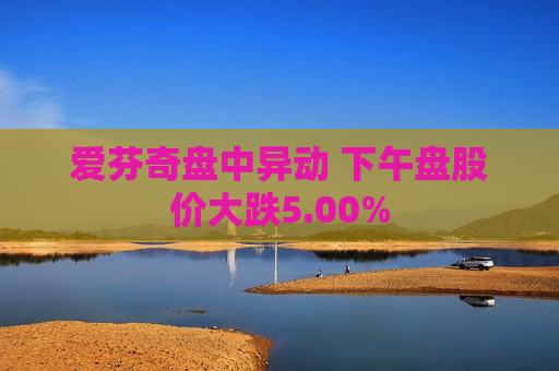 爱芬奇盘中异动 下午盘股价大跌5.00%