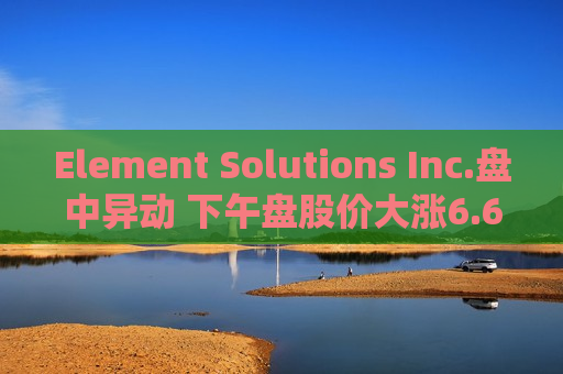 Element Solutions Inc.盘中异动 下午盘股价大涨6.62%报26.27美元