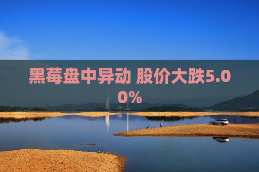 黑莓盘中异动 股价大跌5.00%