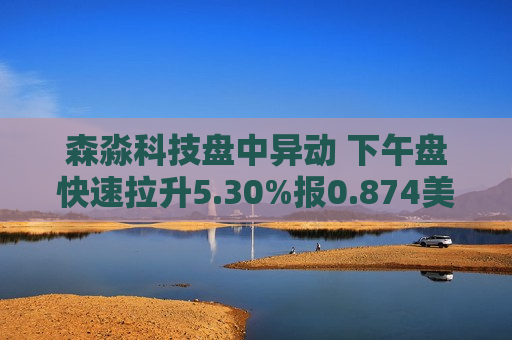 森淼科技盘中异动 下午盘快速拉升5.30%报0.874美元