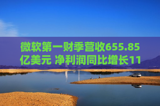 微软之一财季营收655.85亿美元 净利润同比增长11%