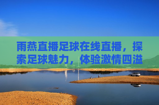 雨燕直播足球在线直播，探索足球魅力，体验 *** 四溢的赛场瞬间，雨燕直播，足球 *** 瞬间，雨燕直播，体验足球 *** 四溢的赛场瞬间