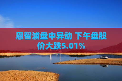 恩智浦盘中异动 下午盘股价大跌5.01%