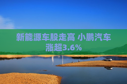 新能源车股走高 小鹏汽车涨超3.6%